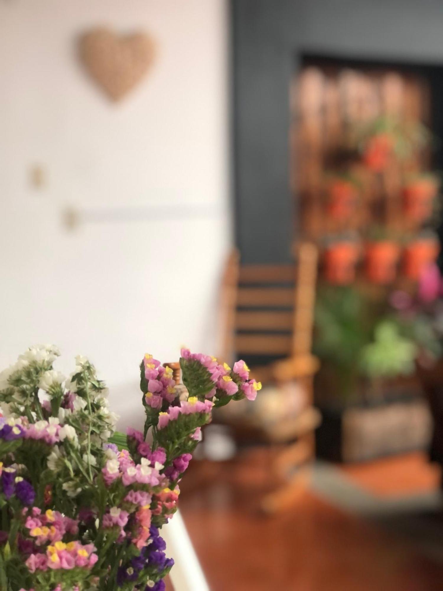 Hostal Casa Gaia San Cristóbal de Las Casas Екстериор снимка