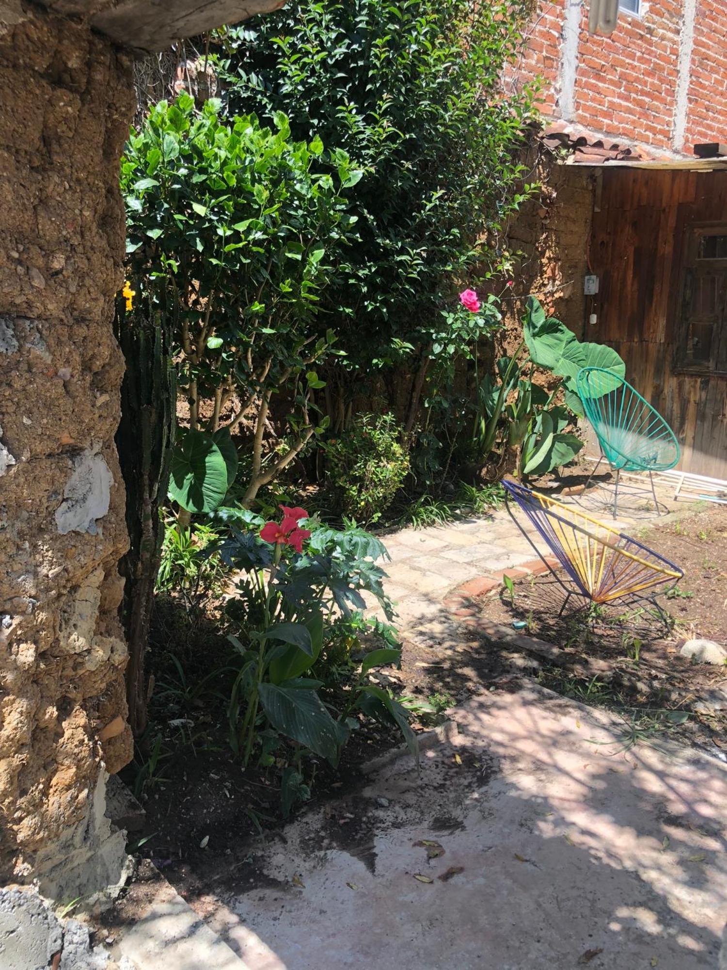 Hostal Casa Gaia San Cristóbal de Las Casas Екстериор снимка