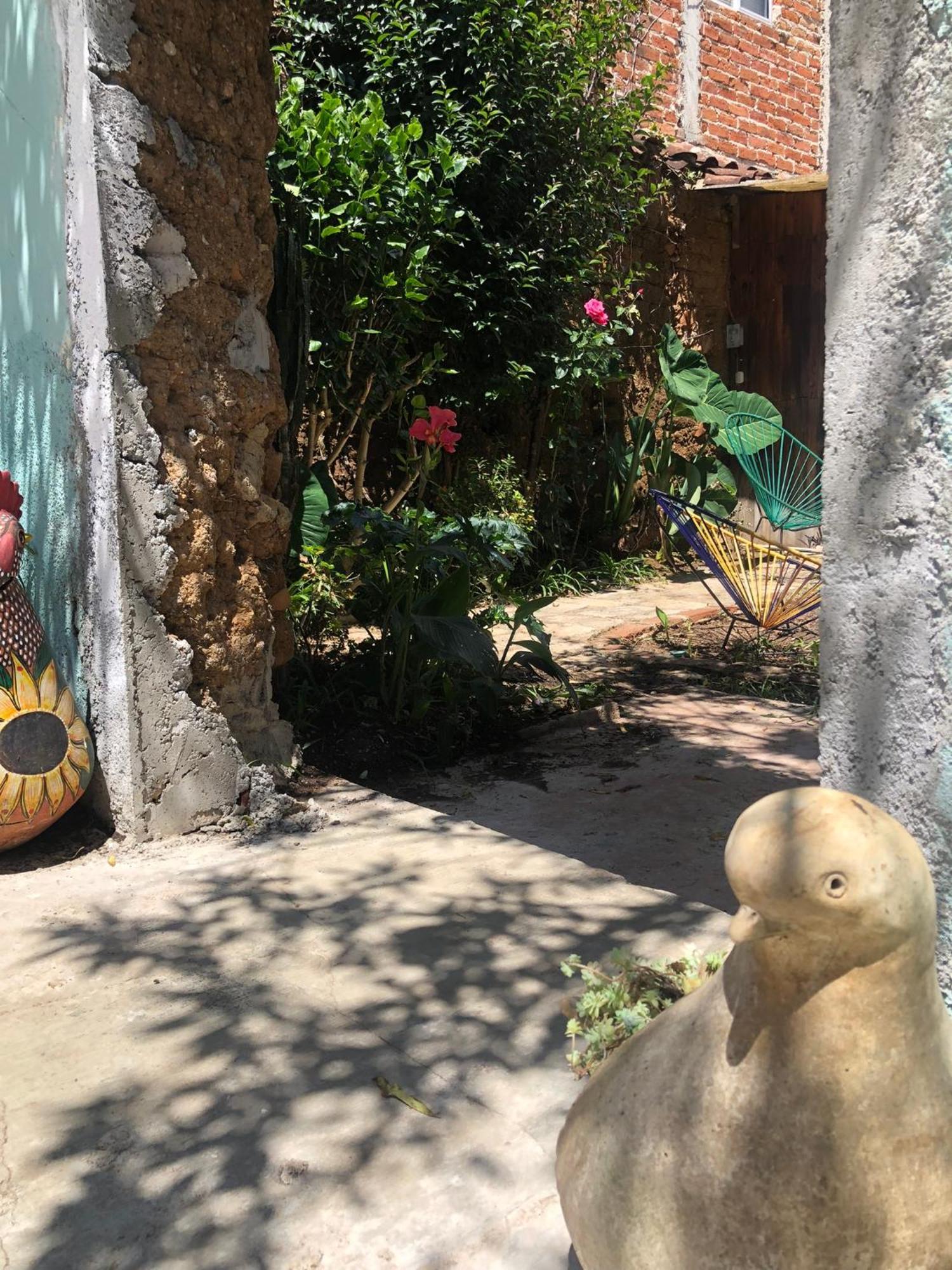 Hostal Casa Gaia San Cristóbal de Las Casas Екстериор снимка